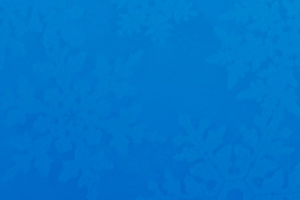 2X1 Fondo