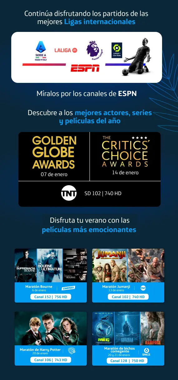 imagenes-boletin-max